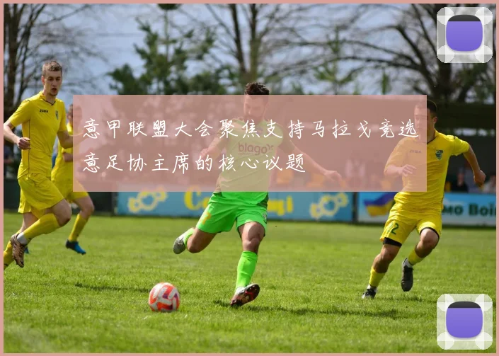 意甲联盟大会聚焦支持马拉戈竞选意足协主席的核心议题